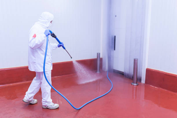 Post-Construction Pressure Washing in Beechwood, MS
